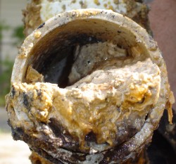 Cross-section of a severely clogged pipe, showing buildup of grease and debris restricting water flow.