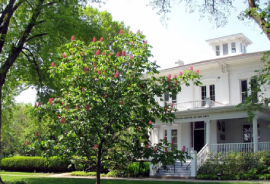 White building with porch and a red buckeye tree in bloom on the lawn.