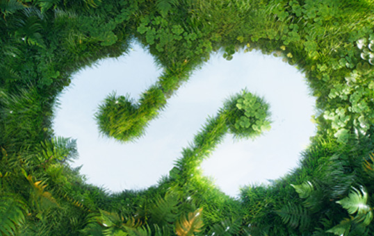 Stylized 'S' shape formed by lush green foliage against a bright sky background.
