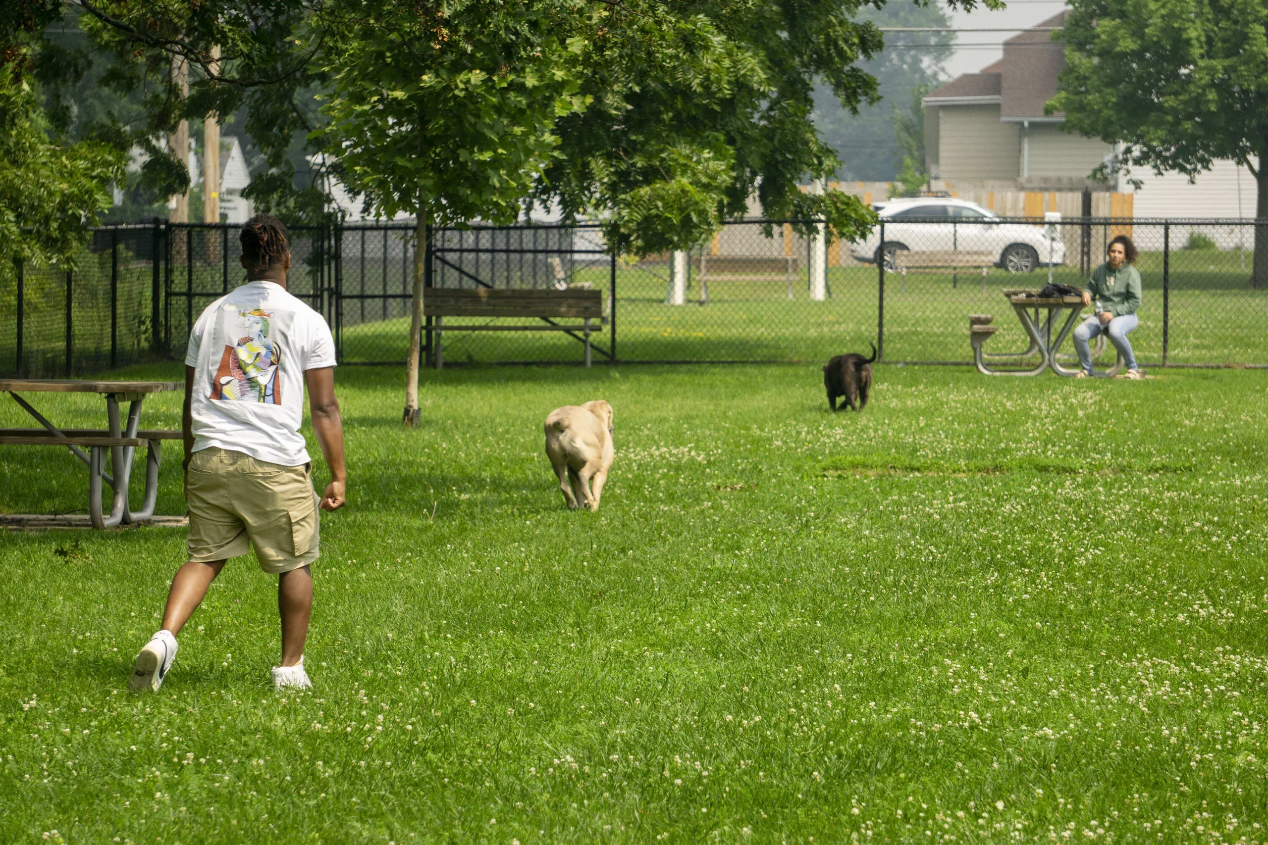 Island Dog Park