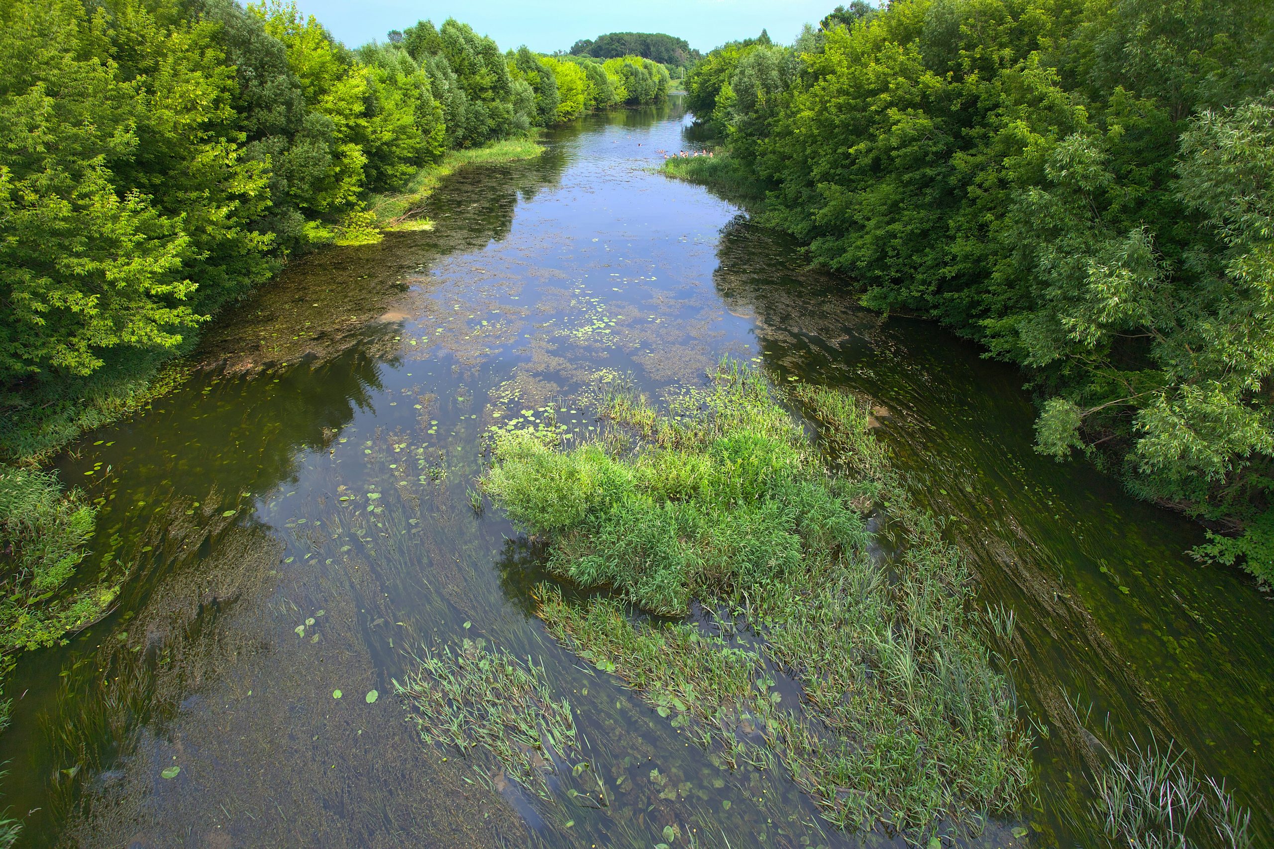 Calm river flows through a lush green forest, reflecting the sky and surrounding trees.