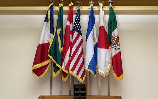 Sister Cities Flag