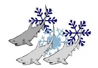Three gray sharks swimming among blue snowflakes on a white background. Illustration.