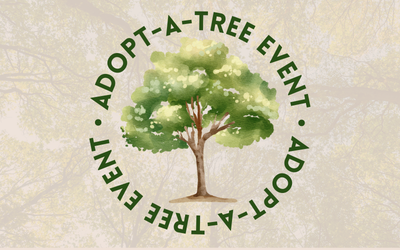 Adopt-A-Tree Program Returns with Free Trees for Racine Residents